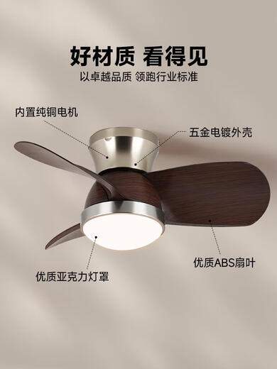 Aoduo 2025 new restaurant fan light Bauhaus medieval fan light integrated bedroom fan ceiling light A1 living and dining room TCLE9923