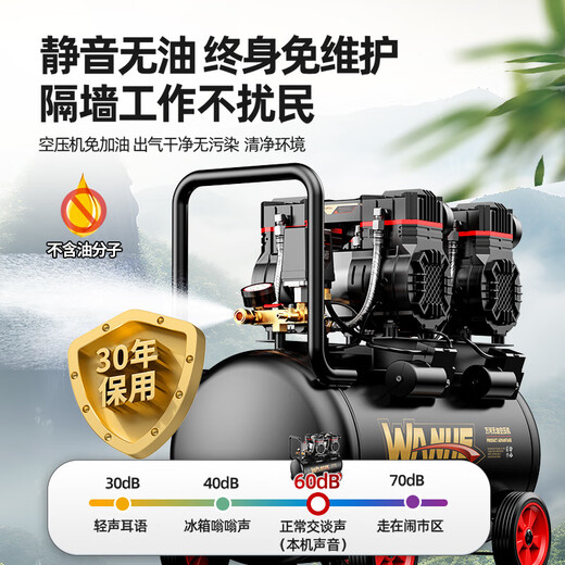 蒋之爱空压机小型220v工业级无油静音便携木工气泵高压打气泵空气压缩机 3890W-60L【数显无刷+全铜电机+