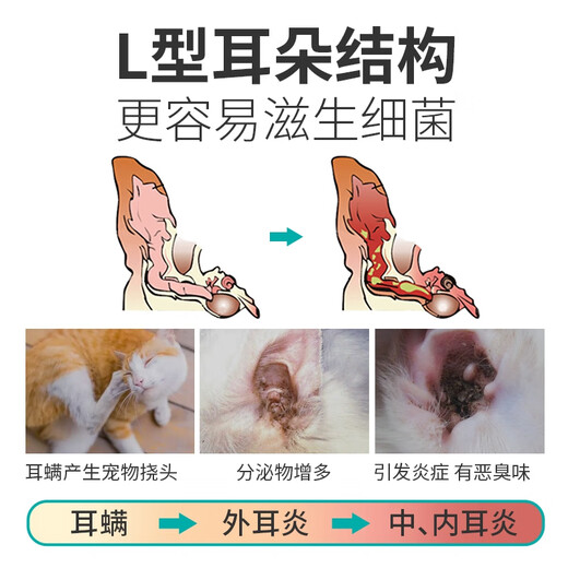 Huawu cat ear cleaning solution, pet cat ear mite ear drops, dog ear cleaning solution, anti-inflammatory cat ear mite medicine, ear canal bacterial treatment, ear drops + compound amoxicillin powder