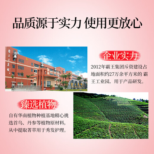 霸王女士防脱发洗发液750ml（防脱洗发水 柔顺滋养洗发露 洗头膏）