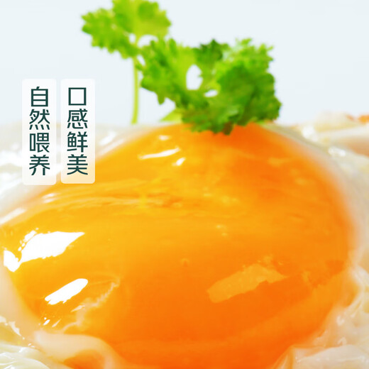 [No Anti-anti-Resistance] Qifen Non-cage-raising Zhenxin Chai Eggs 20 pieces 1kg 1kg