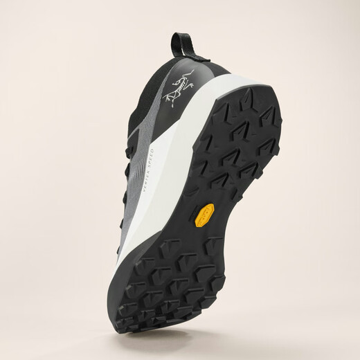 Archaeoptera (arc'teryx) / Vertex Speex Speed ​​Outdoor Lightweight Mountain Running Chaussures x9715 Euphoria / Ray 40