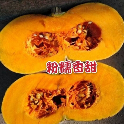 Mopan Big Pumpkin Old Variety Large Pumpkin Seeds Self-saved Pumpkin Seeds High-yielding Vegetable Pumpkin Seeds Mopan Big Pumpkin Seeds Original Five Packs About 130 + Songpin