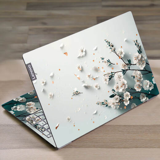 Miaopu Le Japan Importsed Califfer 2025 Новая ноутбук компьютерная пленка, подходящая для Tianxuan Dell Star Lenovo xioxin XM1047 [Стандартная версия четвертая сторона] Модель сообщений