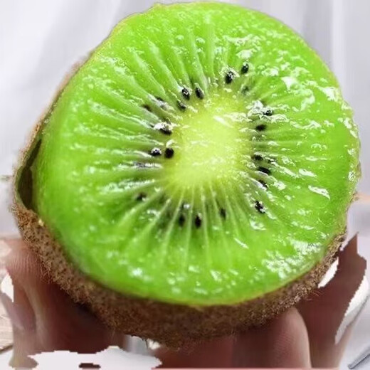 Shaanxi green heart kiwi fruit, super sweet kiwi fruit, fresh fruit for pregnant women, now picked and spoiled, guaranteed compensation, 6 pieces for early adopters, single fruit 60-80 grams