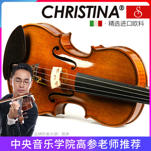 克莉丝蒂娜（Christina）进口欧料小提琴S200A考级进阶演奏云杉木枫木入门乐器4/4