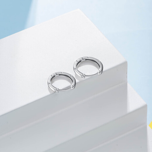 Trendy Acer Minimalist Platinum Earrings Women's Earrings for Girlfriend's Birthday Gift Priced at RMB 100 per piece Single Model Approximately 0.8g