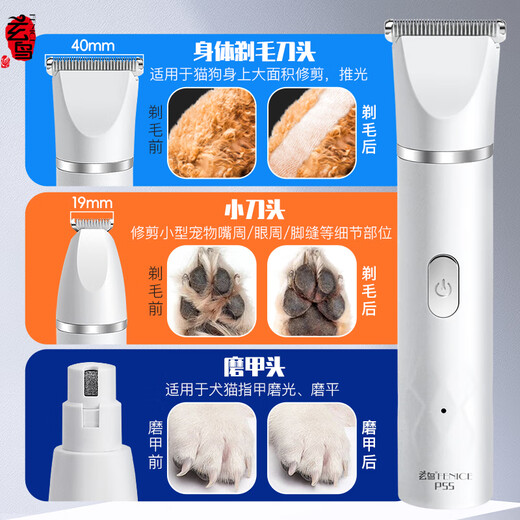 Blackbird pet shaver electric clipper multifunctional three-in-one cat and dog universal bass Maltese puppet shaving