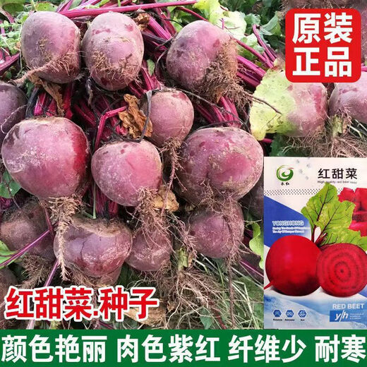 Red beetroot seeds, seaweed heads, beet seeds, original four-season vegetable seeds, fruit seeds, vegetable seeds, red beetroot seeds, original 1 pack, about 350 capsules