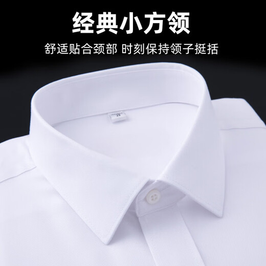 恒源祥（HYX）男士衬衫长袖纯棉免烫男高级感正装2025新款纯色白衬衣 长袖L05-6218兰色 38 38 [体重100斤-125斤]