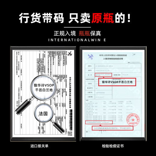 三得利（Suntory）拿破仑金尊馥华诗VSOP干邑白兰地法国进口洋酒700ml 拿破仑馥华诗vsop 700mL 1瓶