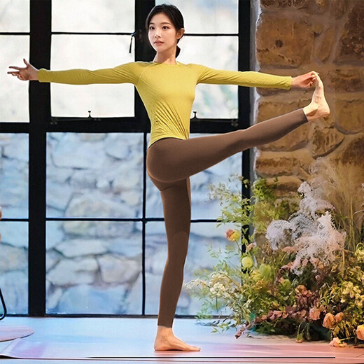 Shuangxiu yoga clothing top for women, new style, old money style, beautiful Pilates training long-sleeved sports fitness suit, purple top XL 125-140