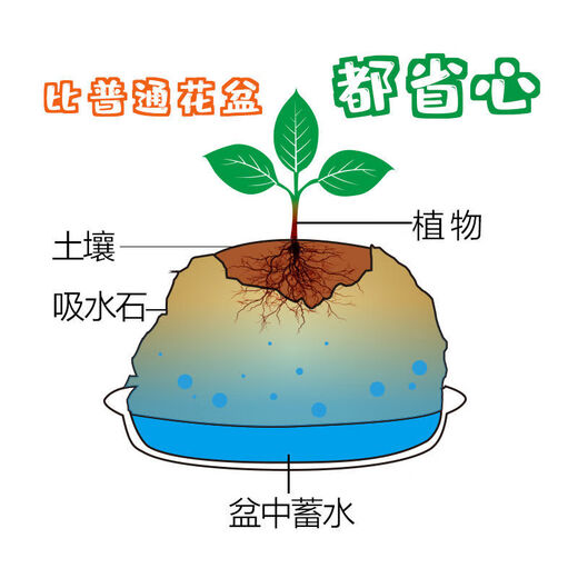 Absorbent stone flower pot, natural strange stone, absorbent stone, upper water stone, original stone, stone pot, calamus, succulent potted plant, bonsai micro landscape, absorbent stone, flower pot 10-12cm (no gifts)