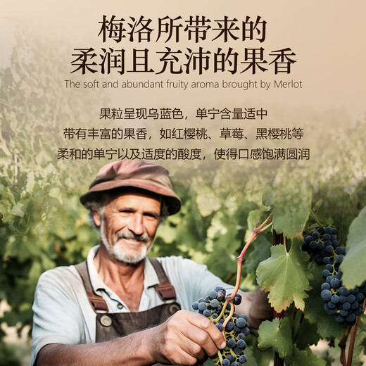 路易拉菲（LOUIS LAFON）法国进口红酒礼盒14度梅洛干红葡萄酒750ml*2瓶原酒红酒双支送礼