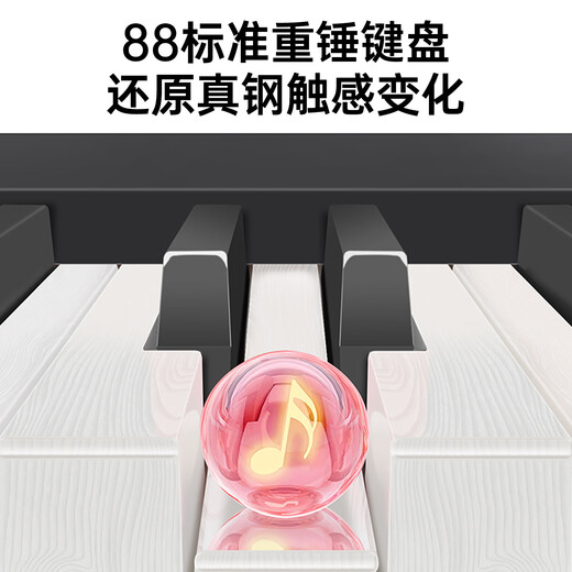 BEIDOCHEN 88 HAUT HAMMER CLÉE ÉLECTRIQUE PIANO POUR ENFANT ADULTANT PIANO ELECTRONIQUE PIANO HOME PROFESSIONNELLE 10