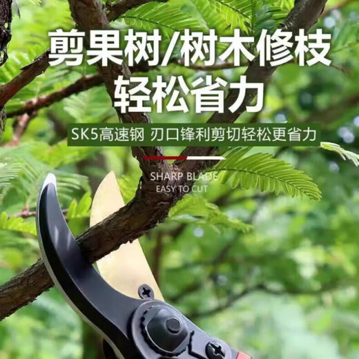 Sawang German gardening scissors, special scissors for cutting branches, pruning scissors, thick branch fruit tree pruning scissors, household labor-saving, upgraded model, black King Kong, 6th generation SK5 steel-rubber handle, 2025 new model
