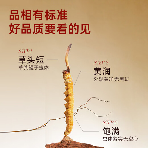 Ayishe First-crop Cordyceps Sinensis New Dried Cordyceps Tonic Holiday Gifts for Parents Nutritional Nutritional Gifts High-End 50g 3-4 Roots/g Retro Gift Box