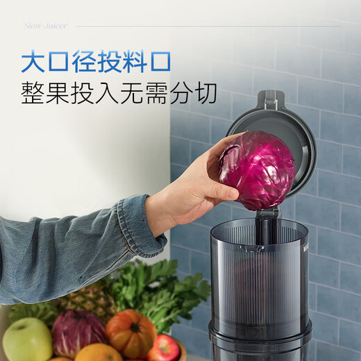 摩飞大口径原汁机螺旋研磨渣汁分离易清洗全自动果蔬榨汁机MR9902 MR9902椰奶白