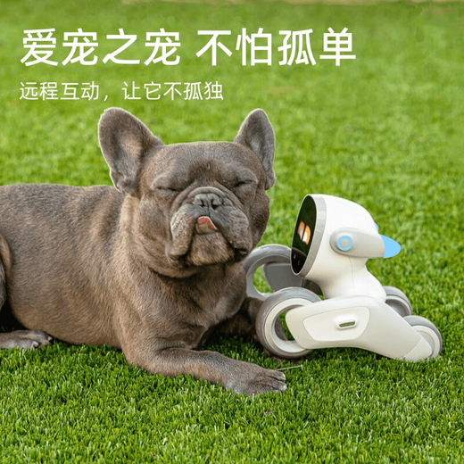 
Kelibao Loona Machine Dog AI Embodied Intelligent Robot Children's Programming Learning Robot CES Innovation Award Language Switching Interactive Early Education Toys Children's Fun Limited Blue Set