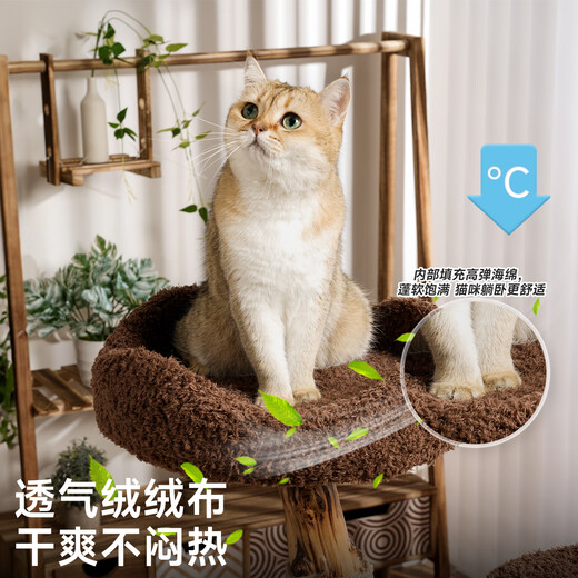 Beast brand cloud solid wood cat climbing frame small apartment cat frame with nest cat scratching post cat shelf cat tree cat nest cat scratching board integrated small tree house solid wood pillar + large nest