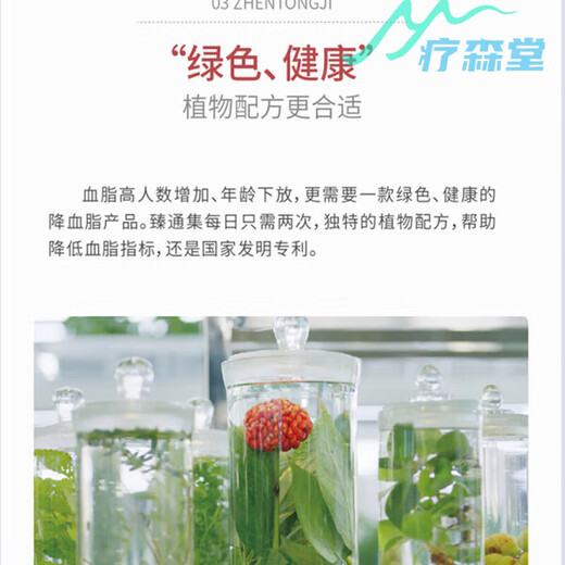 御芝林臻通集牌三七丹参黄芪胶囊成人中老年人有助于维持血脂健康平增强 1瓶装