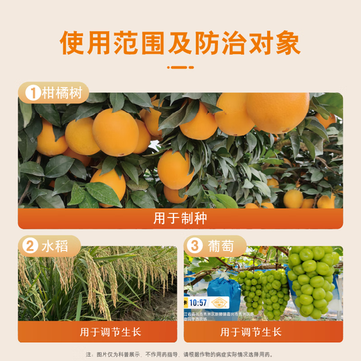 Guoguang Chimei 3% gibberellic acid gibberellin citrus improves fruit setting rate and promotes fruit development and cell elongation official authentic 500ml/bottle