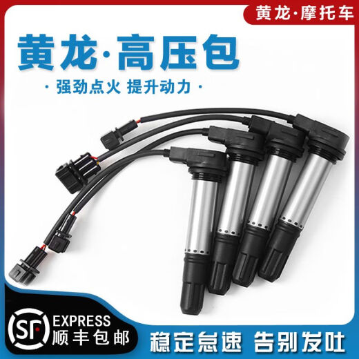 Adaptado a Huanglong 600 Package de alto voltaje Flash 300 Chase 550 Scooter 700 Carrera 600 800 9214 Bobina de encendido de motocicletas Huanglong