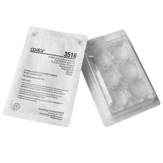 康宁Corning-Costar细胞培养板3516 3513 3524 3548 3599规格齐全 12孔3513