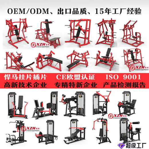 房悍马全套 平卧推胸高低拉背 大腿屈伸深蹲 XZ-A5009 摆腿训练器