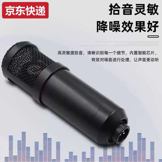 Lan Cai and cross-border BM800 condenser microphone V8 mobile phone English sound card computer usb cantilever bracket live broadcast set full plastic silver set + white USB