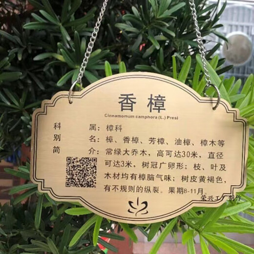Tree tag, waterproof tree name tag, customized stainless steel tree sign, tree introduction, fruit tree hanging tag, customized product consultation customer service according to size and quantity