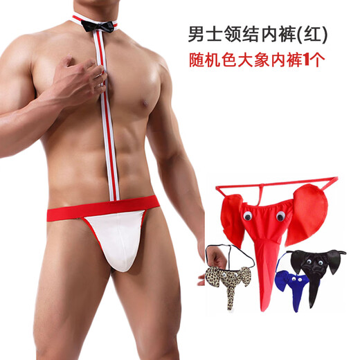 Men's sexy underwear jj thong passionate buttocks no need to take off sexy passionate gay GAY physiological bed teasing red underwear + random color elephant underwear 1 piece one size fits all waist circumference 70-106cm