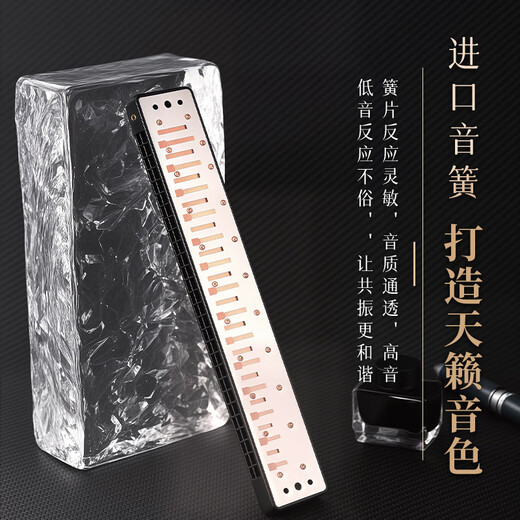 Guoguang 28-hole Guozhimeng performance-grade accented C harmonica (Athens black, embedded, glasses case)