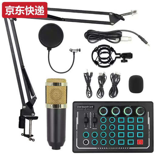 Lan Cai and cross-border BM800 condenser microphone V8 mobile phone English sound card computer usb cantilever bracket live broadcast set full plastic silver set + white USB