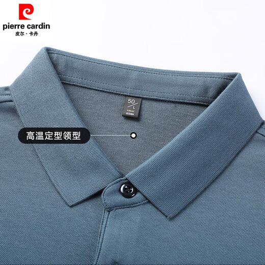 皮尔卡丹（pierre cardin）中老年男士爸爸装5AT恤秋季上衣翻领休闲条纹长袖POLO衫男装 2691浅蓝色 M 建议【100-120斤】高端轻奢抗皱免烫