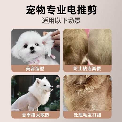 Jingsheng pet shaver, dog hair clipper, pet shop special electric clipper for shaving dog hair, large dogs and cats, digital display model comes with 3 heads + two-speed manicure, strong power