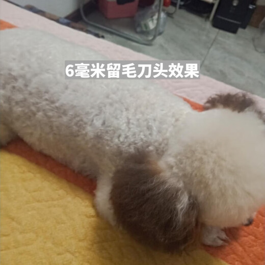 Codos electric hair clipper hair cutting head Codos 9200 9600 9700 universal pet 3mm (upgraded black ceramic) oil delivery low-foot model (common to most clippers)