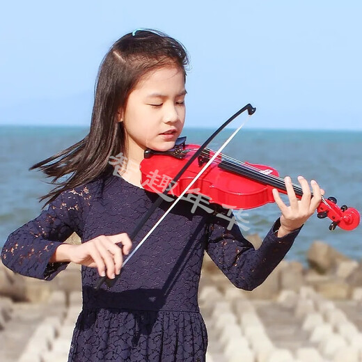 BAOLI小提琴玩具儿童礼物宝宝音乐仿真乐器启蒙女孩男3-6岁初学者 宝丽-小提琴1707棕色