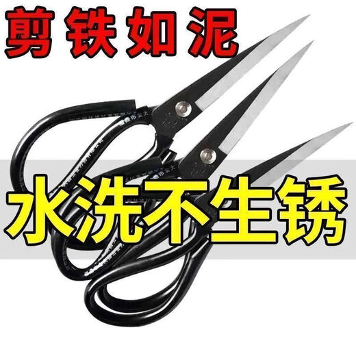Ye Yu Stainless Steel Scissors Household Kitchen Knife King Multifunctional Tailor Scissors Black Pointed Paper Cutting Large Model 3cm German High Carbon Steel Not Sharp Extremely Durable Sharp (1 Pack - Extremely Sharp) Can Cut