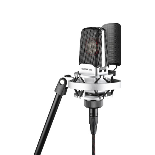 TAKSTAR SM-18 PRO condenser microphone live broadcast microphone condenser microphone instrument recording professional recording singing K studio stage performance 1 black
