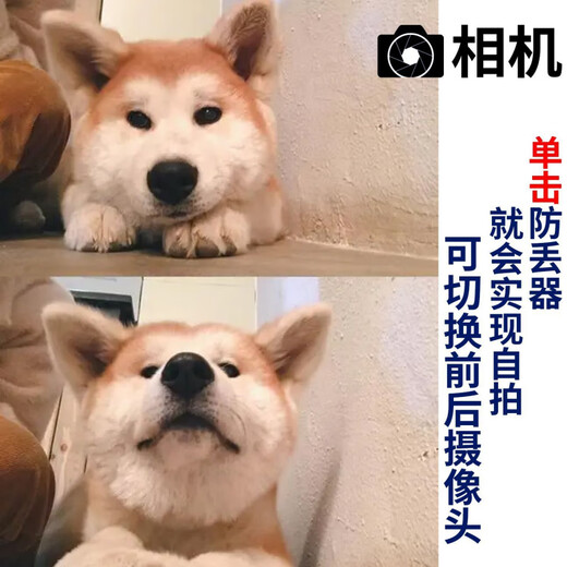 Xiaomi's same anti-lost locator pet navigation new smart cat and dog collar tracking two-way search Bluetooth waterproof photo alarm ++ collar upgrade upgrade locator plus collar