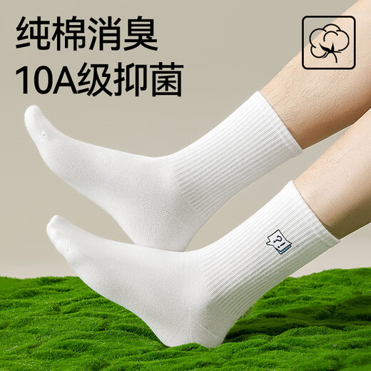 
Cat man 5 pairs of men's socks for men in summer 100% pure cotton embroidered mid-tube socks trendy letter sports basketball socks