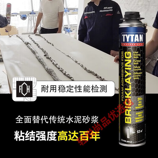 赛磊那TBM原装进口泡沫砂浆聚氨酯板材快速粘合剂加气块砌墙砖胶 赛磊那753板材快速粘合剂整箱15