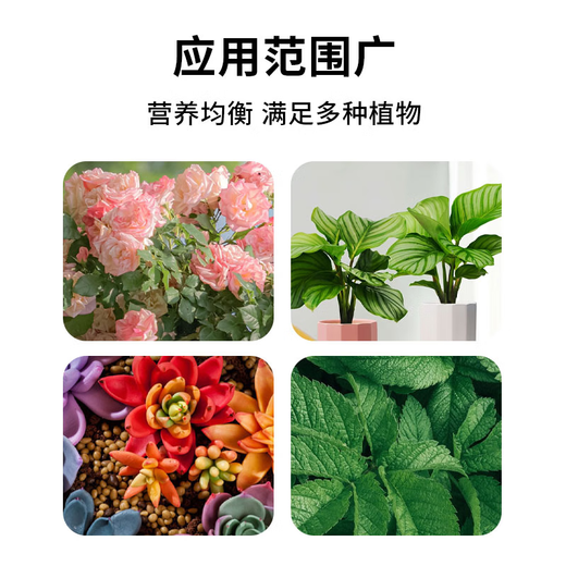 Flower language plant ash fertilizer natural organic fertilizer potassium fertilizer loose soil adjustment acid-base high potassium general fertilizer sterilization plant ash 1 bag 3L
