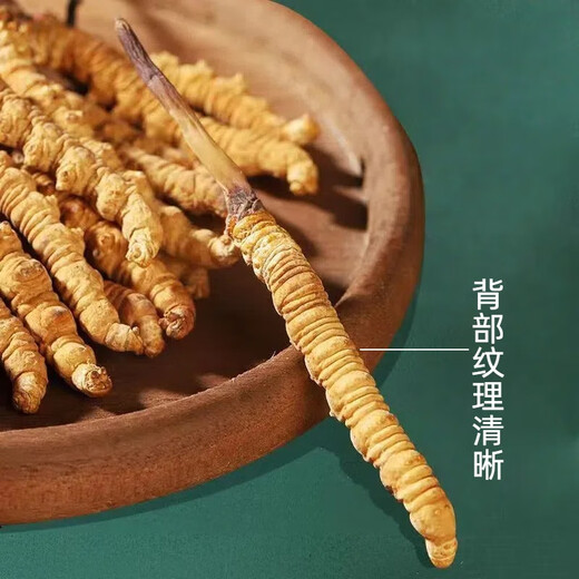 La nueva caja de regalo de Cordyceps seca Cordyceps seca de Kangsil para dar regalos para nutrir y nutrir la calidad de selección de Cordyceps para los ancianos Tíbet Nagqu Cordyceps de aproximadamente 2 piezas/gramos de 100 piezas (caja de regalo)