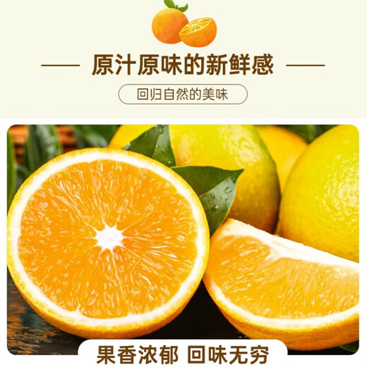 【热卖】正宗秭归脐橙新鲜采摘 湖北橙 带箱1斤