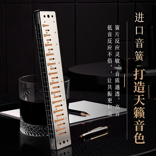Guoguang 24-hole Guozhimeng performance-grade polyphonic harmonica in C (Athens black, embedded, glasses case)