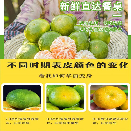 秭归脐橙新鲜宜昌特早蜜桔 时令水果薄皮桔子酸甜孕妇宝宝柑橘整箱团购 【畅吃】净重5斤中果 55mm+