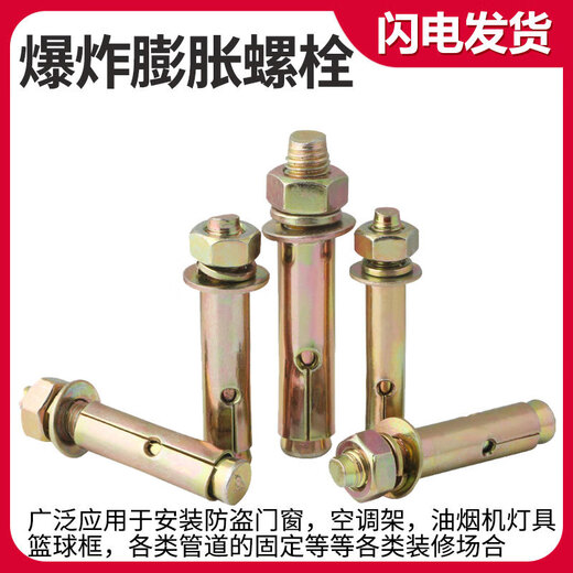 维诺亚膨胀螺丝彭张螺栓加厚加长拉爆膨胀管铁爆炸螺丝钉大全批发 国标 M12807个