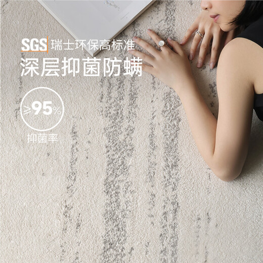 Saibos genuine moonlight gem waterproof glue-free carpet high-end light luxury mid-century style anti-fouling living room sofa cushion 1.9X3M